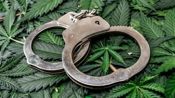 Maconha: A Esquerda está certa